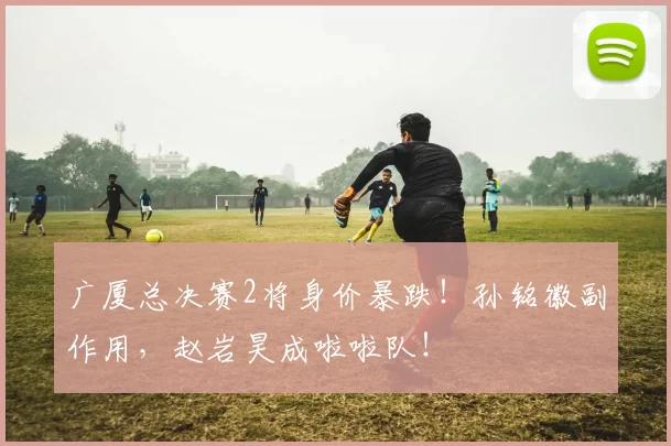 广厦总决赛2将身价暴跌!孙铭徽副作用,赵岩昊成啦啦队!
