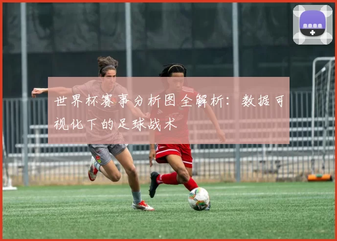 世界杯赛事分析图全解析：数据可视化下的足球战术