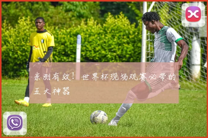 亲测有效!世界杯现场观赛必带的五大神器