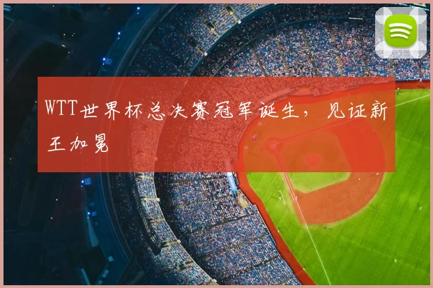 WTT世界杯总决赛冠军诞生,见证新王加冕