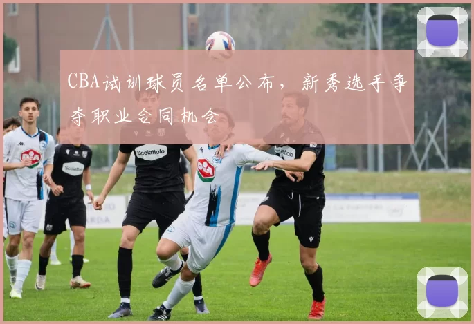 CBA试训球员名单公布，新秀选手争夺职业合同机会