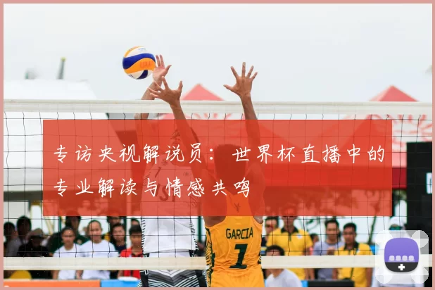 专访央视解说员：世界杯直播中的专业解读与情感共鸣