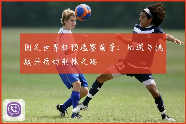 国足世界杯预选赛前景：机遇与挑战并存的荆棘之路